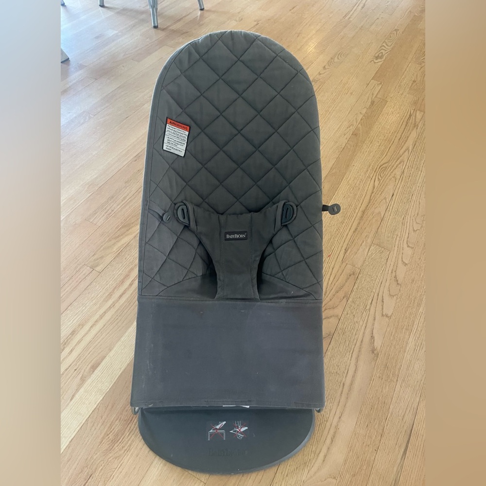 Baby bjorn bouncer